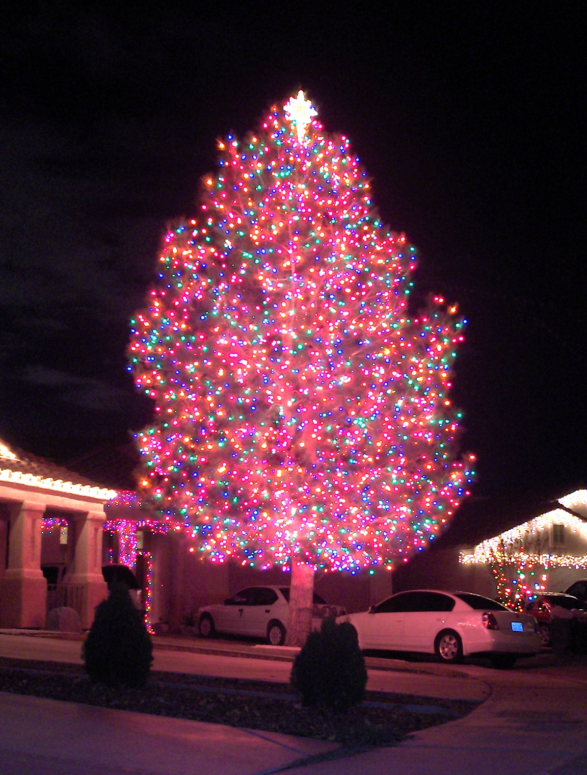 [Christmas+Tree+06+032.jpg]