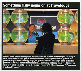 clipping from page 52 of Business Travel World, June 2007 edition about Travelodge's goldfish hire trial