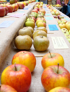 Table full of apples