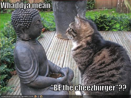 [funny-pictures-cat-ponders-buddhas-teachings.jpg]