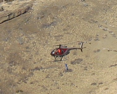 [bighorn+sheep,+helicopters+on+the+front+017.JPG]