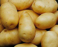 [batatas.JPG]