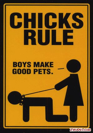 [chicks+rule.bmp]