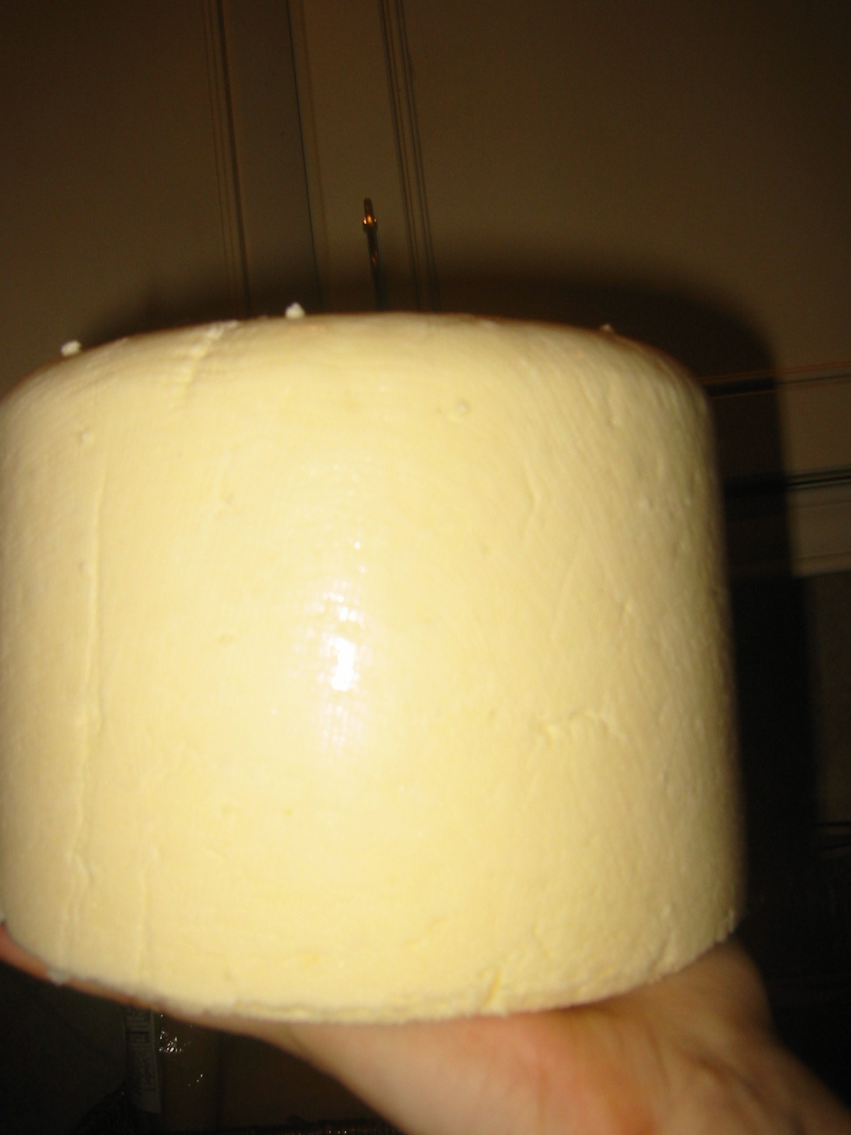 [Cheese_2006-11-21_004.jpg]