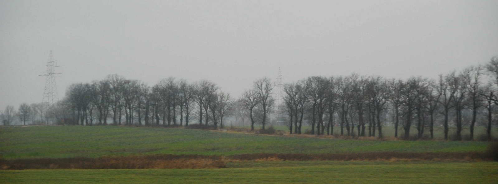 [December+wet+fields,+Wielkopolska.jpg]
