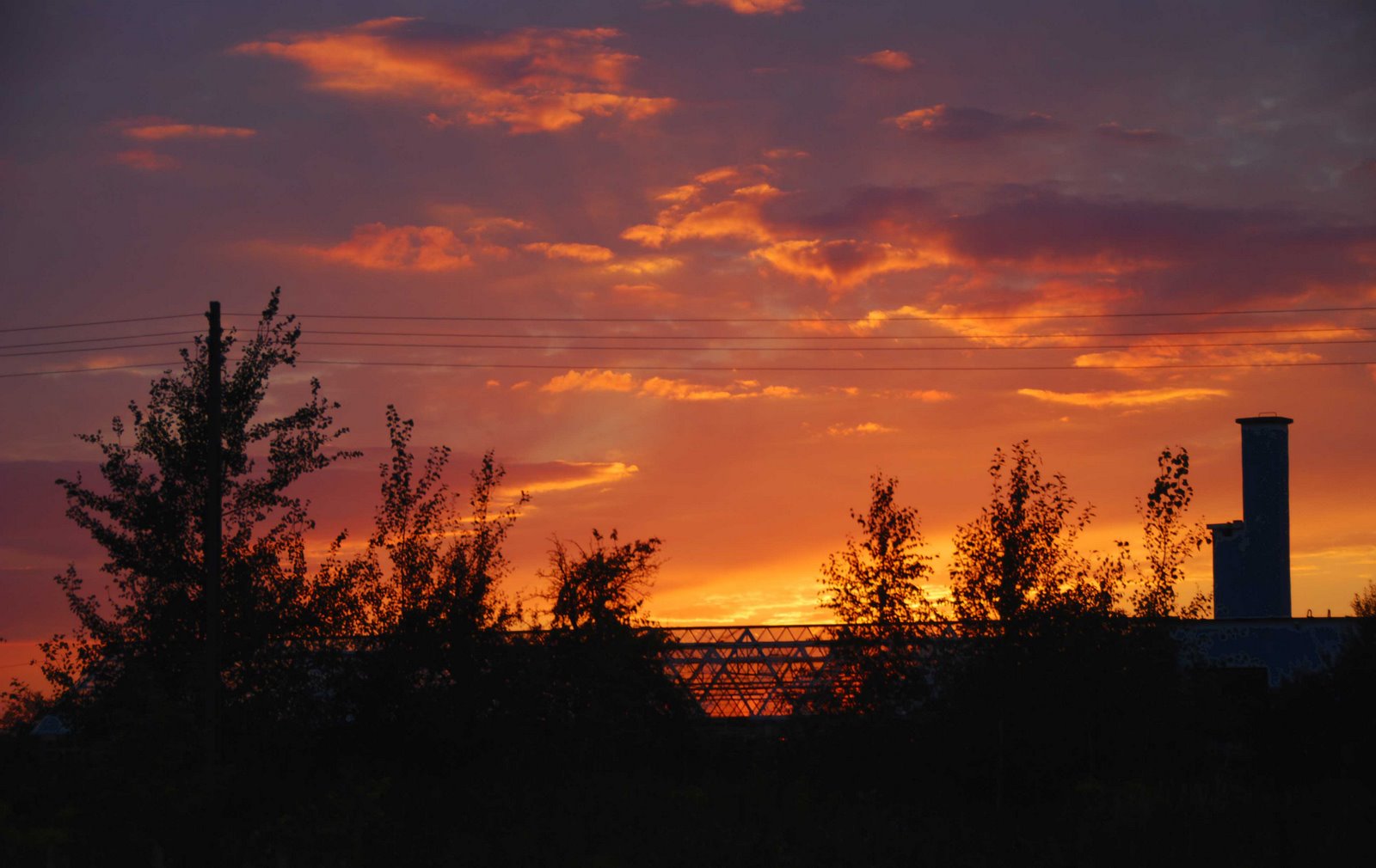 [greenhouse_sunset.jpg]