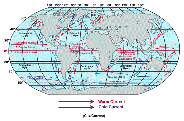 [ocean currents.gif]