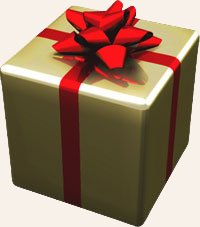 [wrapped_present.jpg]