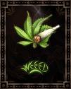[weed.jpg]