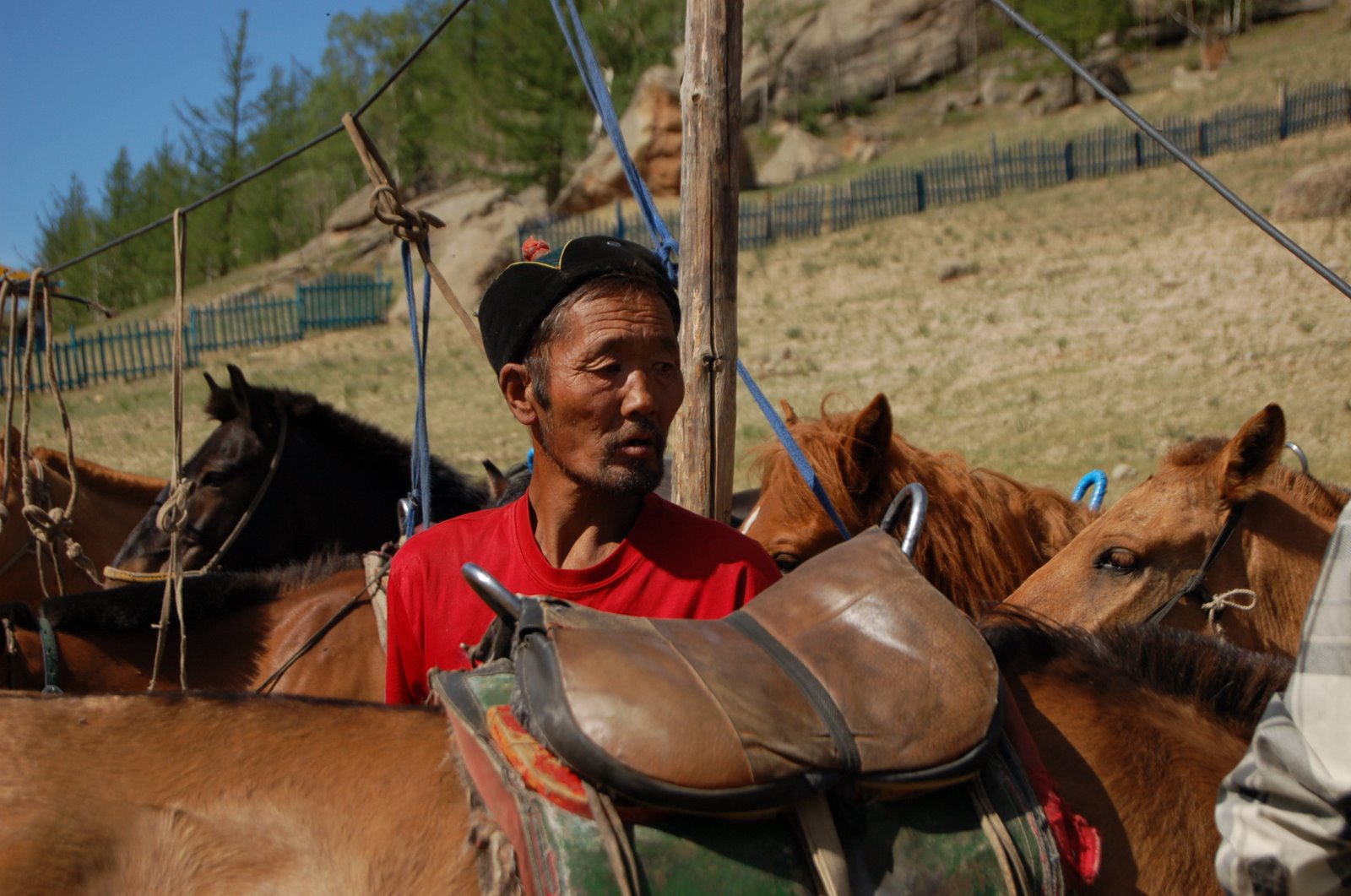 [Mongolian+Horseman.jpg]