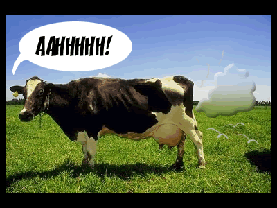 [cow.GIF]