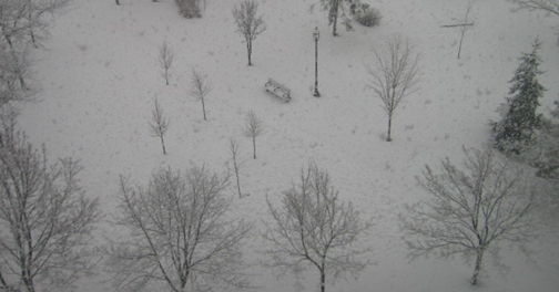 [snowy+view+from+my+window.jpg]