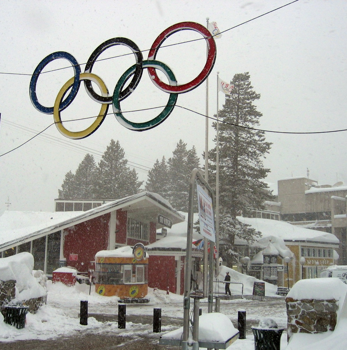 [Olympic+Rings+in+Snow+(2).jpg]