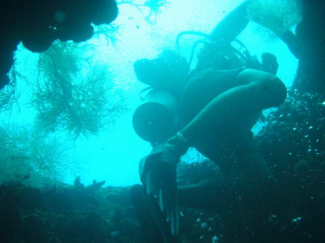 We were swimming in and out of the wreck and it was so neat!