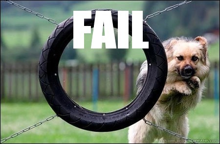 [fail-dog-hoop.jpg]