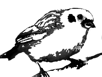 [bird+for+silhouette+copy.jpg]