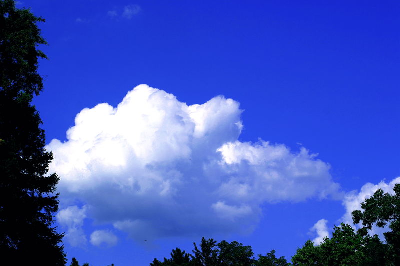 [800px-Clouds_Blue_Sky_001.jpg]