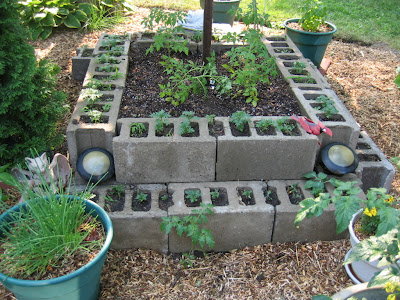 Mooki Mutterings: Cement block garden