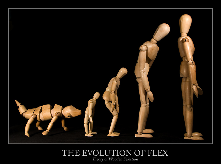 [January+7+~+The+Evolution+of+Flex+P.jpg]