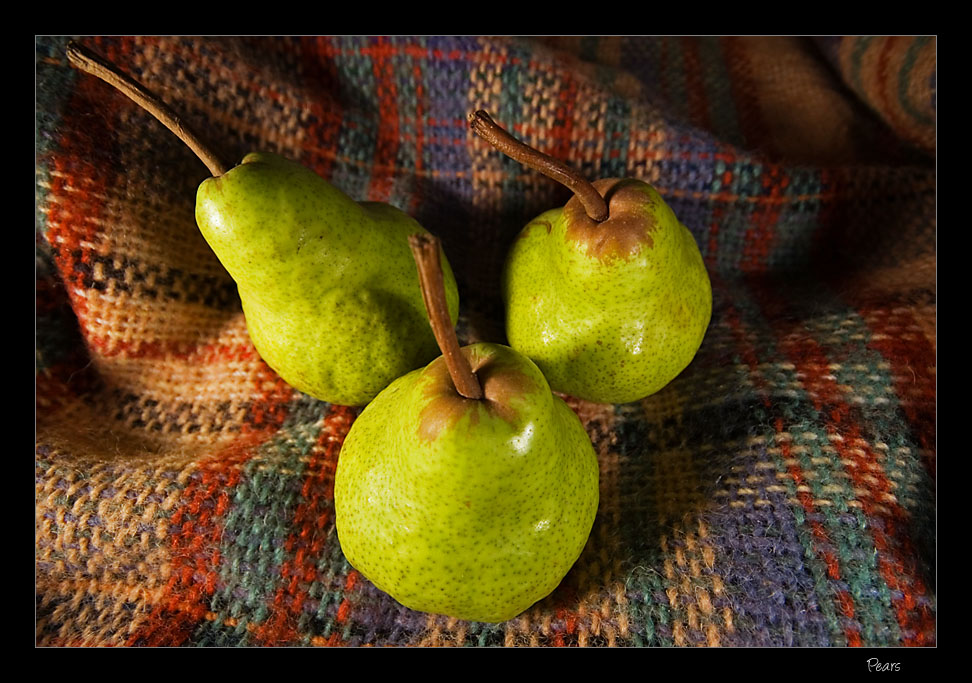 [June+28+~+Pears+P.jpg]
