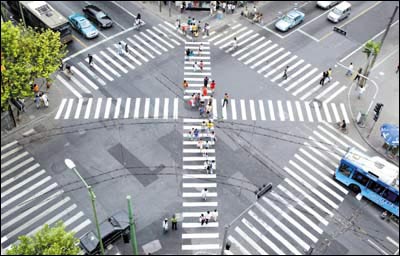 [zebra_crossing1.jpg]