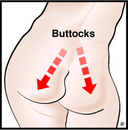 [buttocks.gif]