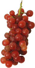 [Red+Grapes.gif]