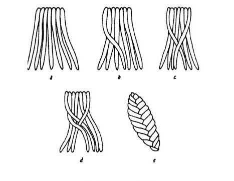 [seven+strand+braid.jpg]