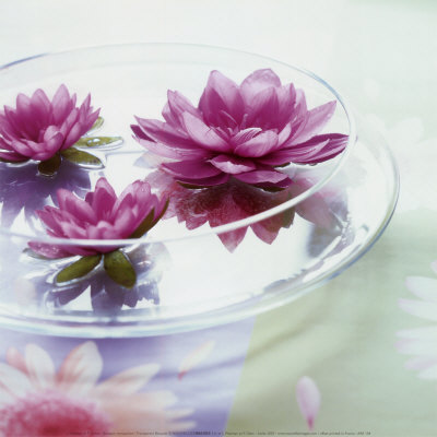 [ARE104~Transparent-Bouquet-Posters.jpg]