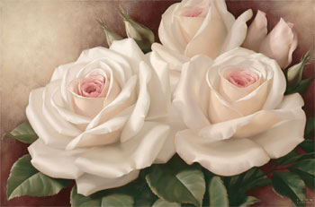 [white+rose+11425~Everlasting-Posters.jpg]