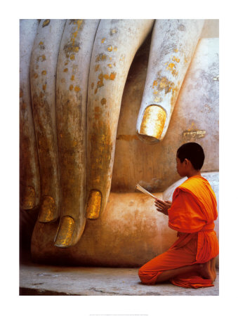 [The-Hand-of-Buddha-.jpg]