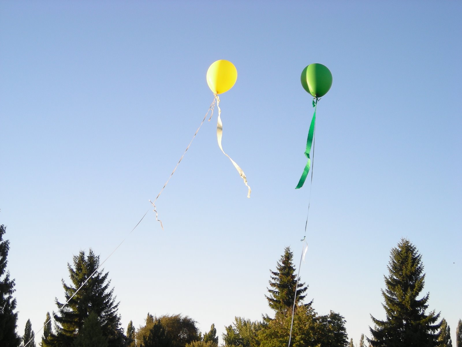 [ballon+kites.JPG]