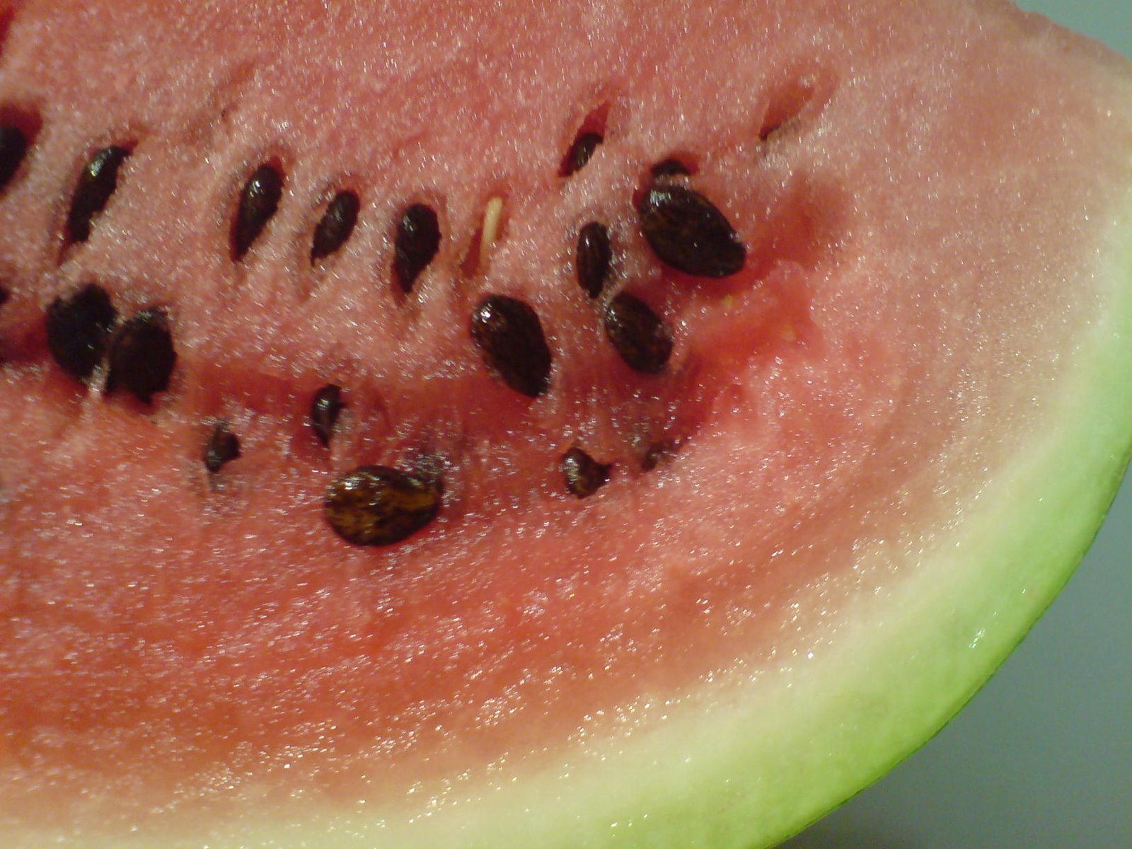 [vandmelon.JPG]