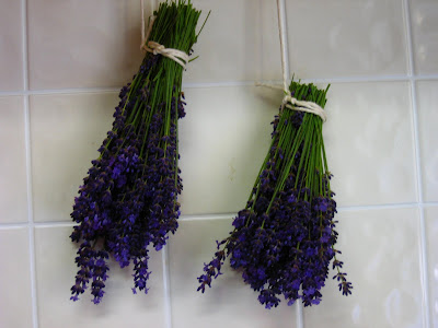 CSA Week 3 Lavender hanging over sink. June, 2008. photo Jenonymous.