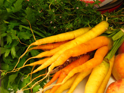 CSA Week 7 Carrots. July, 2008. photo Jenonymous/Group News Blog.