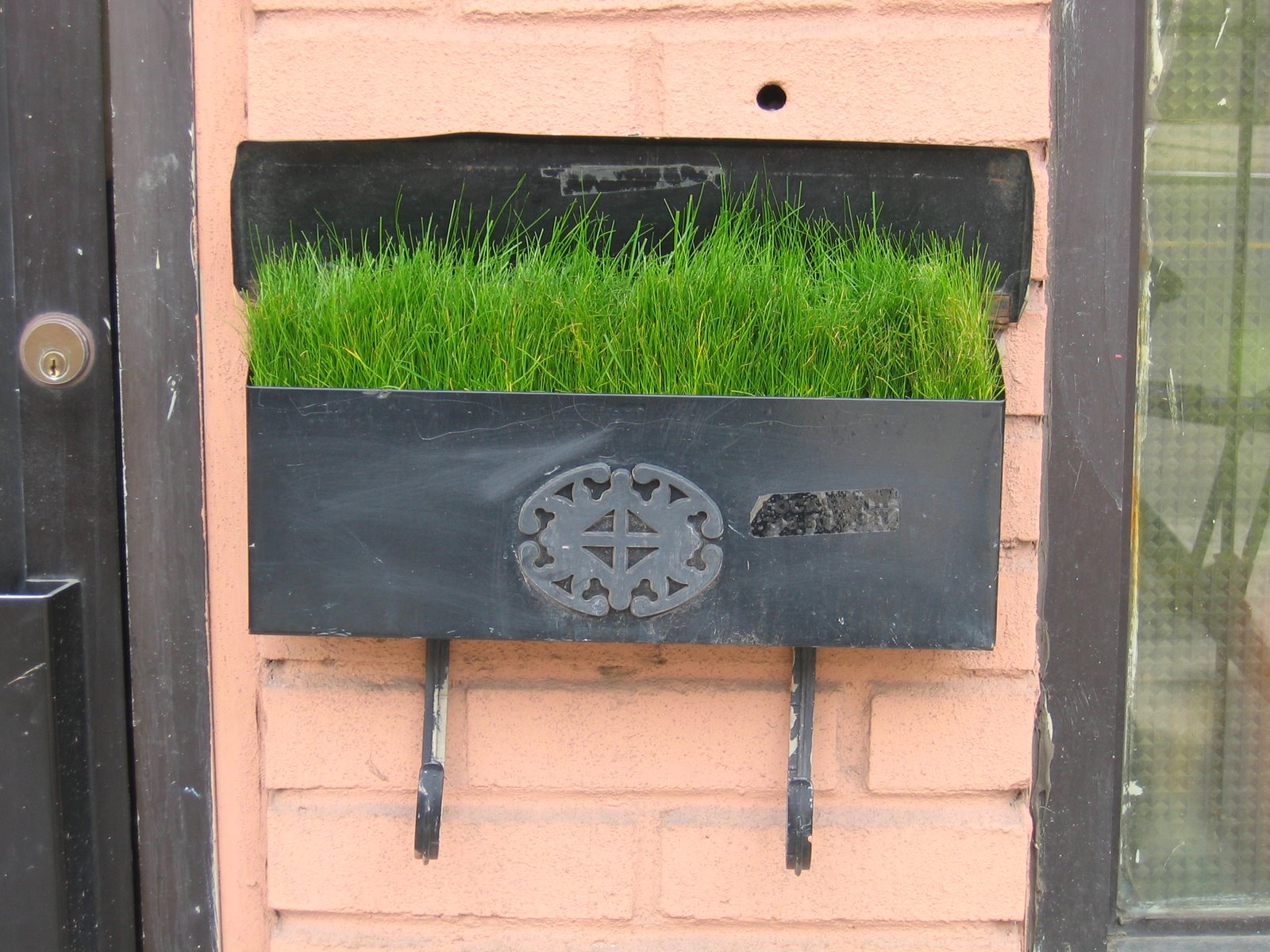 [grass+mailbox.JPG]