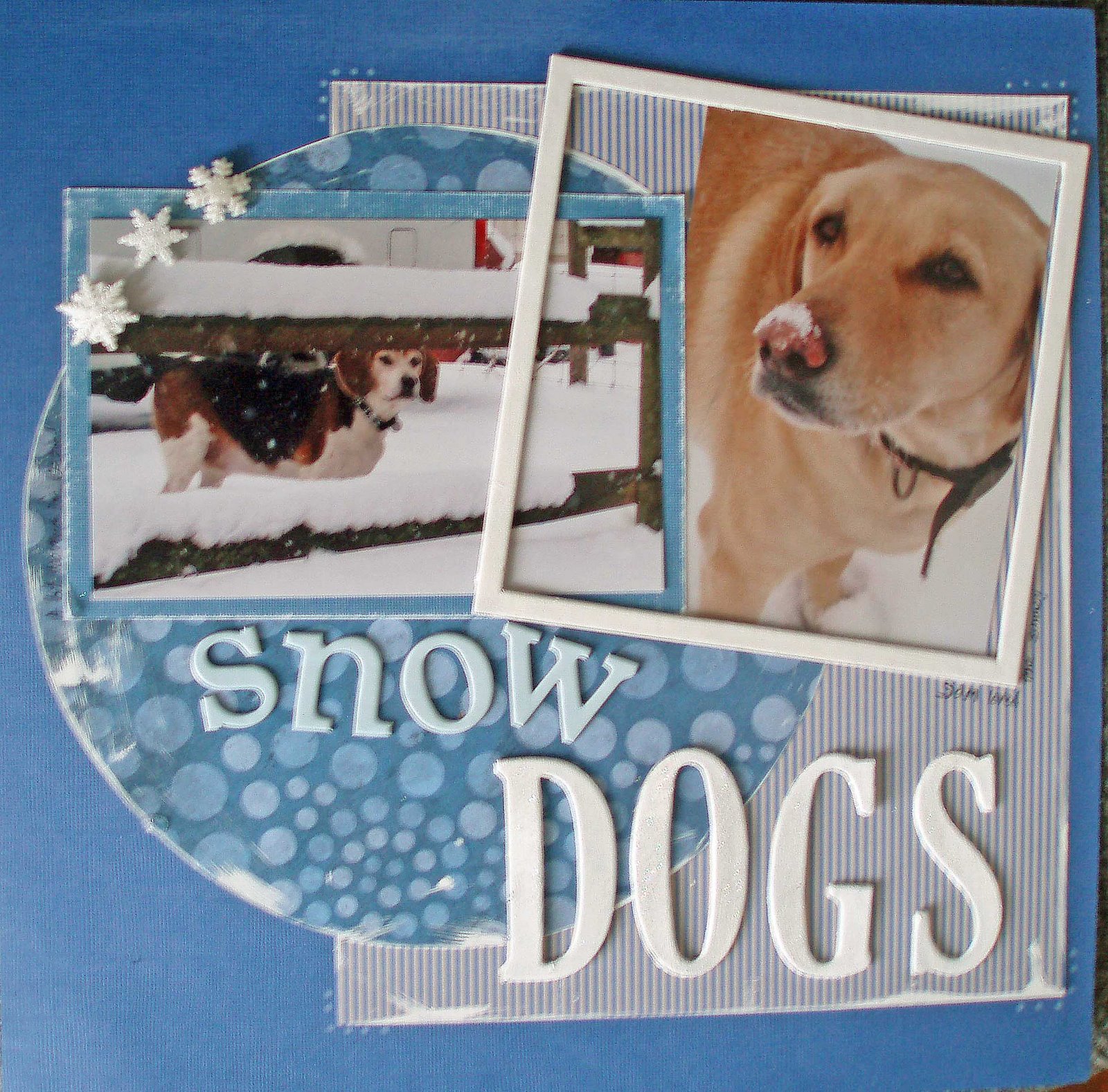 [Snow+Dogs.jpg]