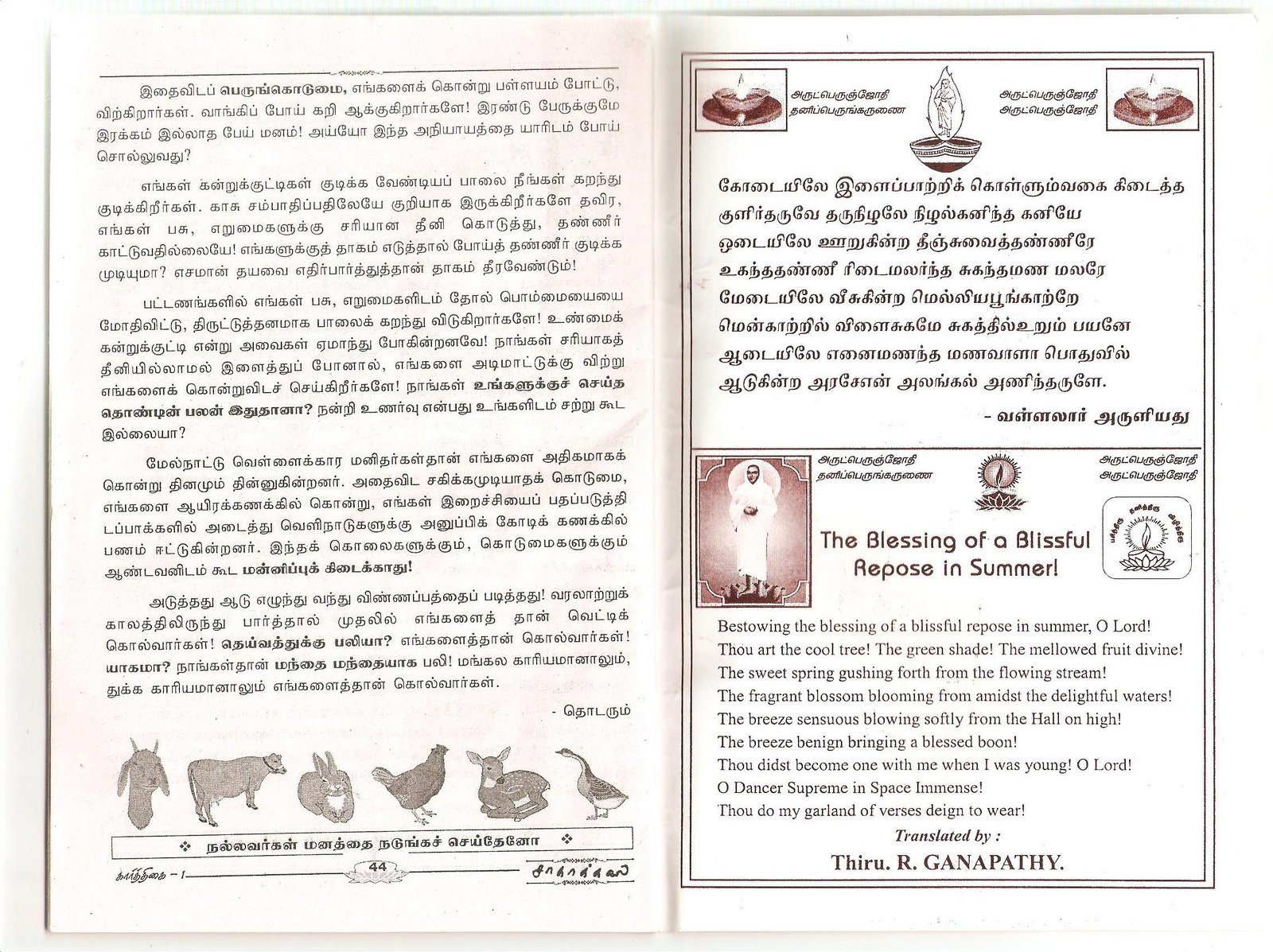 [Blessing+of+blissful+Response+in+Summer+-+Prof.Dr.Ganapathy-782972.jpg]