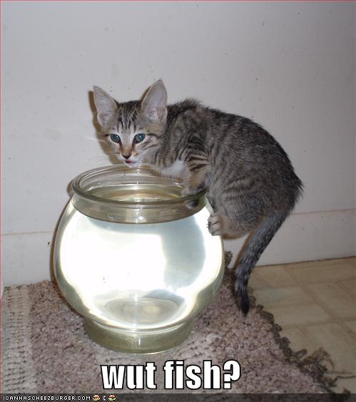 [fishbowl-755527.jpg]