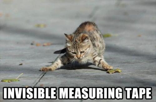 [invisible-measuring-tape.jpg]
