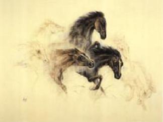 [cavalos+Nikki+Crane.JPG]