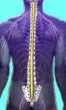 Electrotherapy for Back Pain