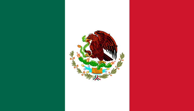 [flag-of-mexico-large.jpg]