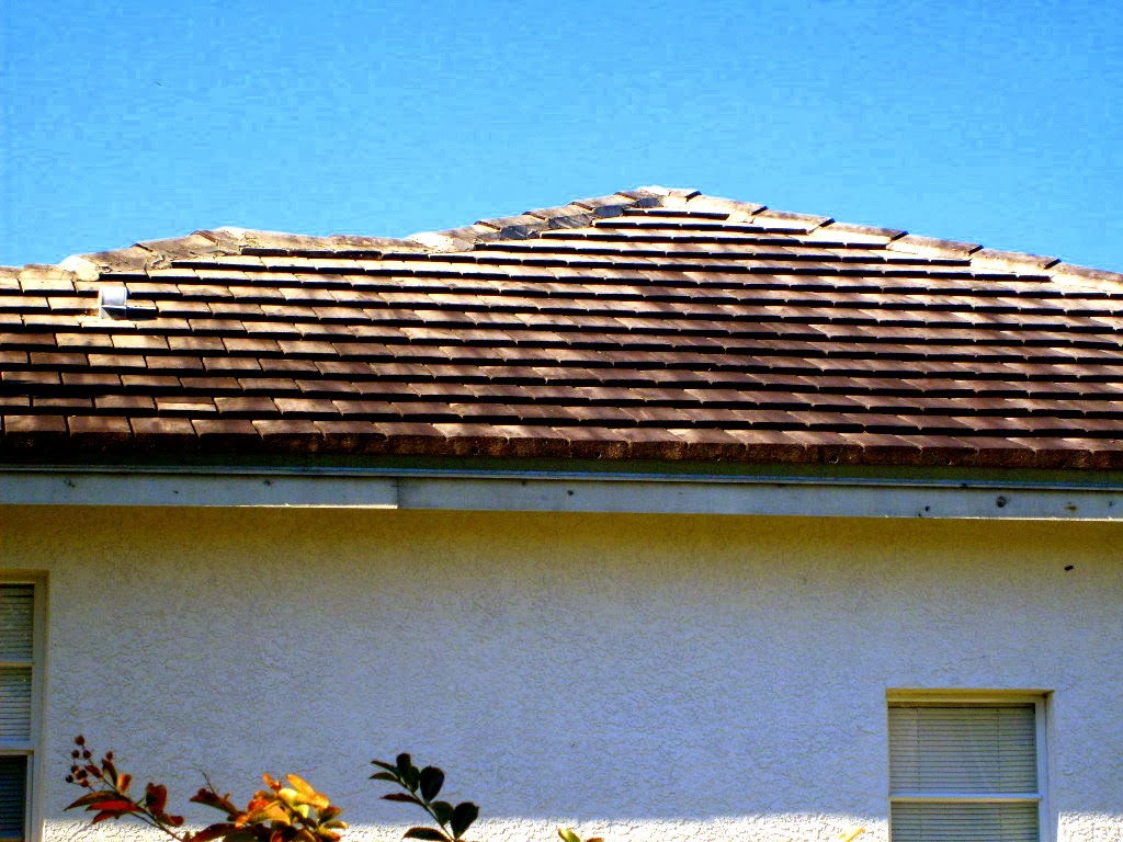 [Tampa+Non+Pressure+Roof+Cleaning+022.jpg]