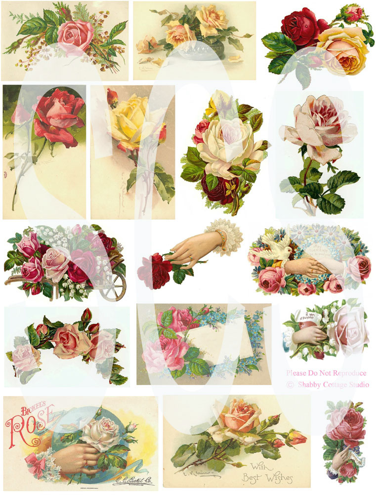 [Roses+Collage+Sheet+ETSY+copy.jpg]
