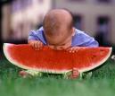 [watermelonbaby.jpg]