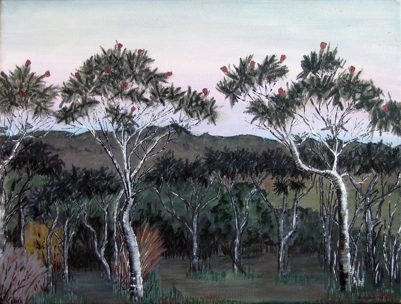 [Banksias+at+Twilight,+WA,+Around+Australia+Series,+Low+Res.jpg]