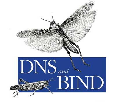 [DNS_BIND.jpg]