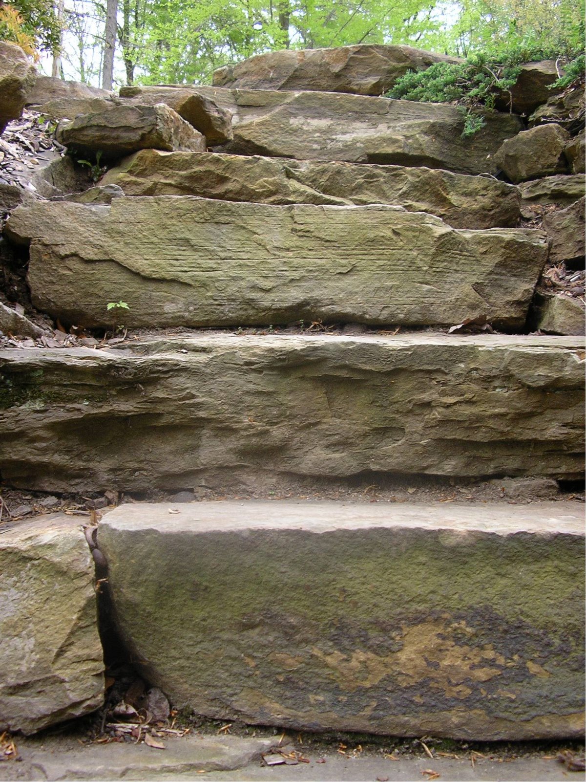 [Stone+steps.jpg]
