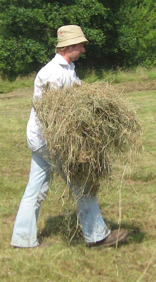 [Making+Hay+Melverley+meadows+July+26th+08+-+ben+carrying+hay.jpg]